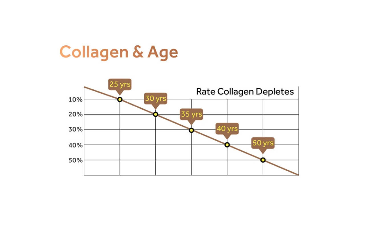 A visual diagram showing the decline of collagen levels with age, represented by a downward graph illustrating how collagen production decreases over time, contributing to signs of aging like wrinkles and fine lines.